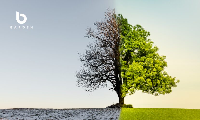 A Changing Practice Landscape