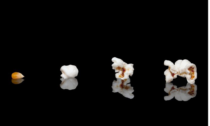 The Evolution of Accountancy Firms