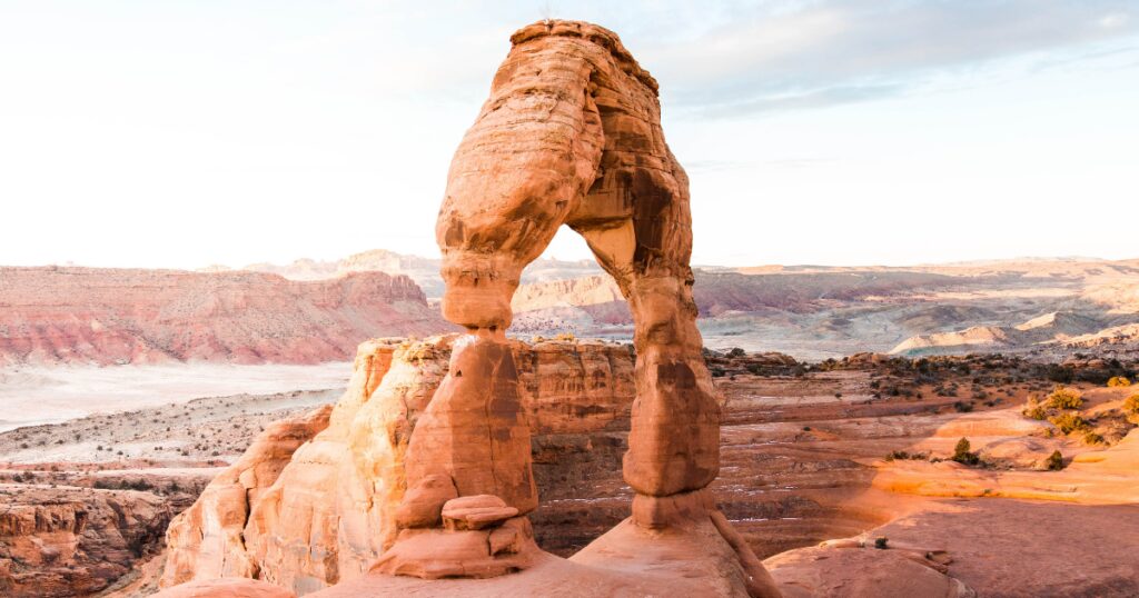 What questions should I be asking when deciding between a big or a small accounting practice/firm?