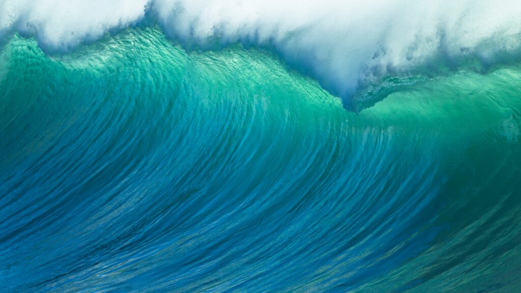 The Power of Personal Branding (1)